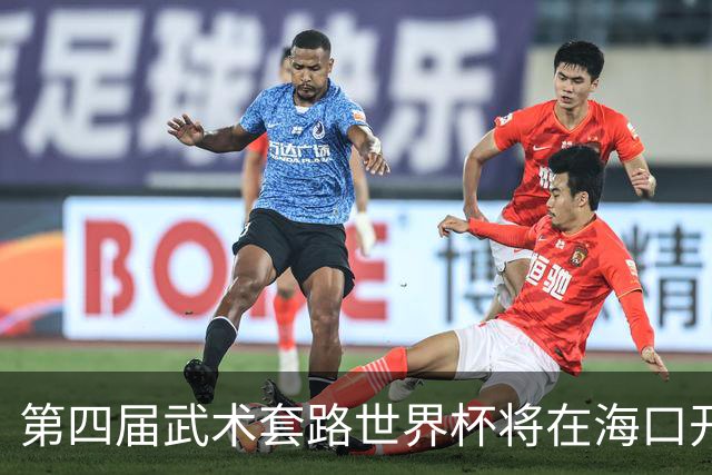 第四届武术套路世界杯将在海口开赛 30多个国家和地区人员参赛